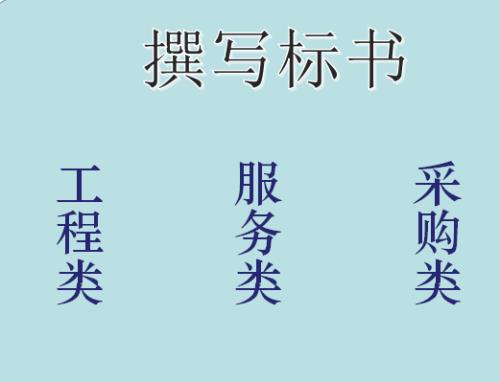 投标供应商负责人指的是