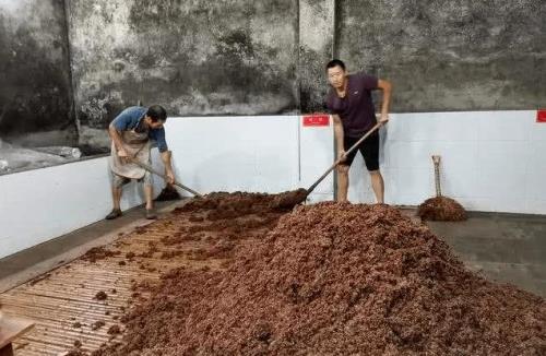 潮汕酒糟的做法