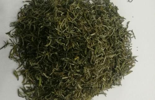 陈茶旧酒毛尖叶下一句