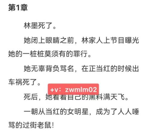 主角叫林墨穿越小说
