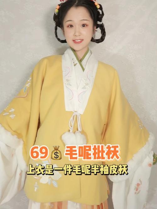 披青衫是什么意思