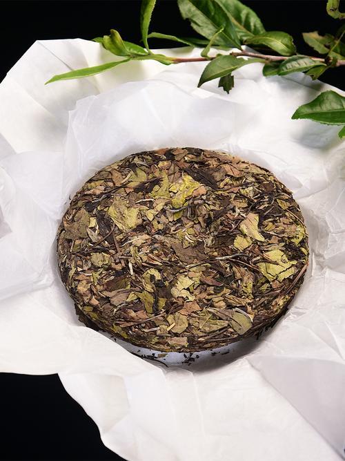 梅家白茶怎么样