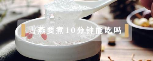 雪燕煮多久