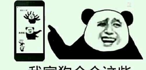 什么意思，请赐教