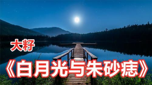 我想躺在温柔的月光里歌曲