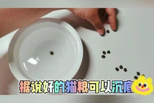 猫粮沉水好还是浮水好