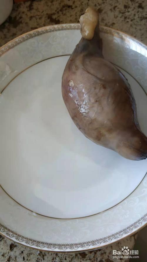 羊宝是什么