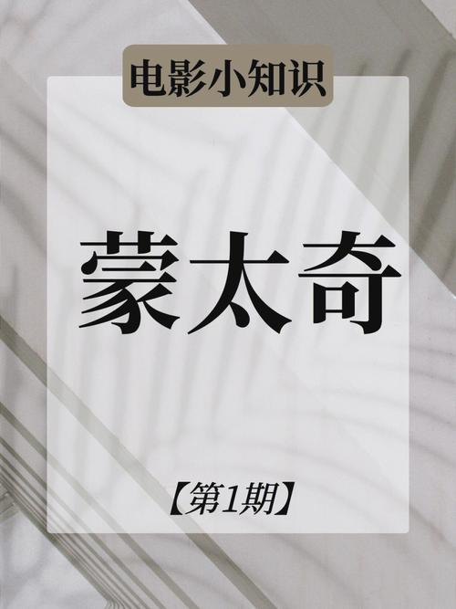 名词解释蒙太奇