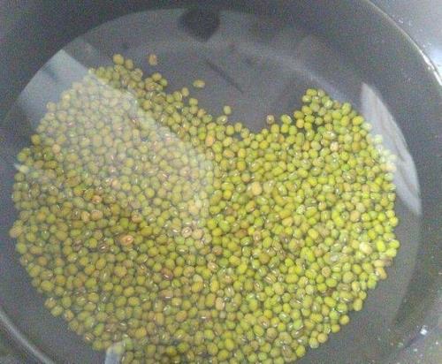 怎样用矿泉水瓶发绿豆芽