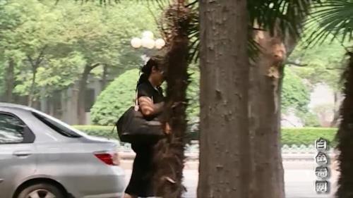 白色毒网梁妹全集介绍