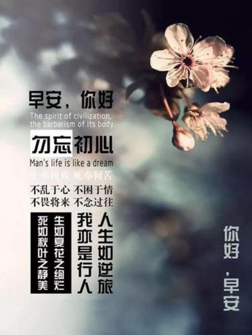 交心的经典语录