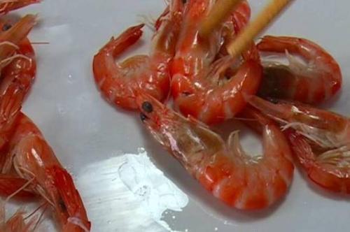 死虾的颜色、活虾的颜色