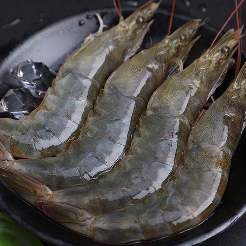 大虾4050是什么意思