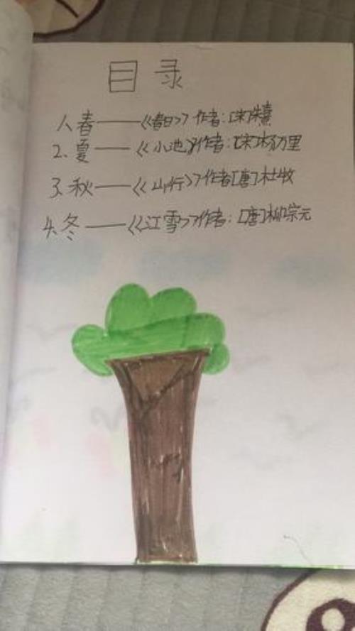 什么是小诗集