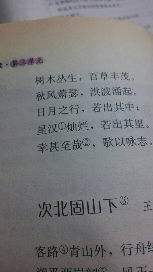 古诗词的意思是什么