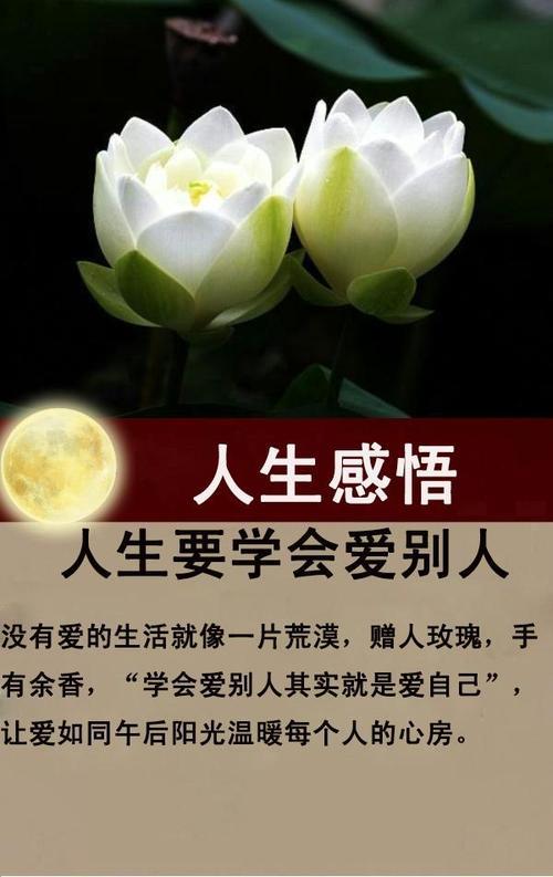 人生是苦的原句