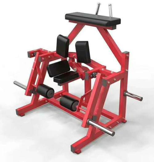 十大公认健身神器