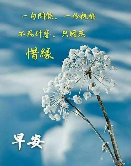 2023祝福语简短暖心