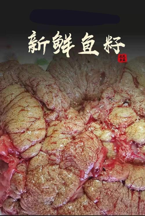 新鲜鱼肚子里的鱼油怎么吃