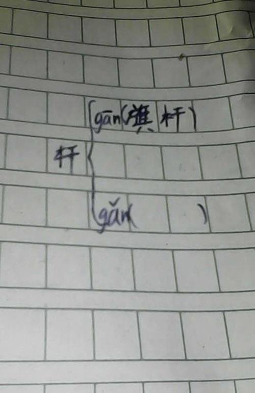 注这个字能组什么词