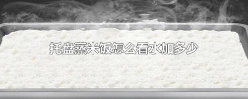 怎样用自来水煮米饭