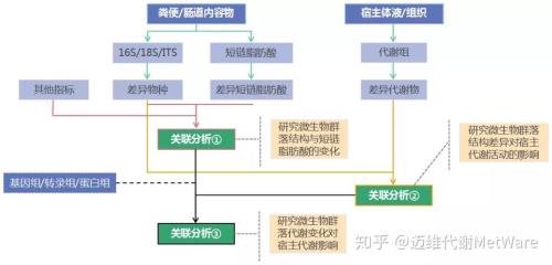 短链脂肪酸从哪里获取