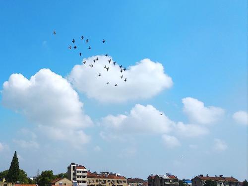 蓝蓝的天上白云朵朵歌曲原唱