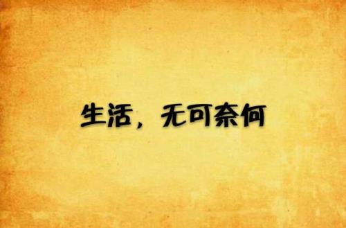 无可奈何的意思是什么标准答案