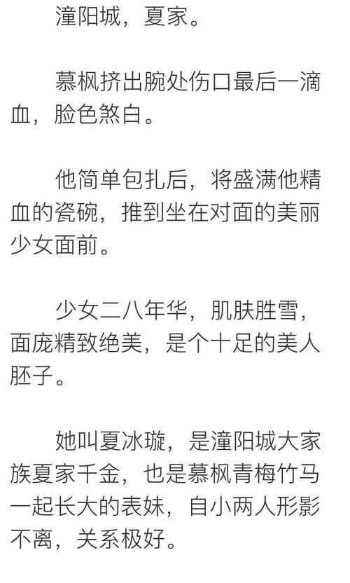 小说无敌姑爷讲什么内容