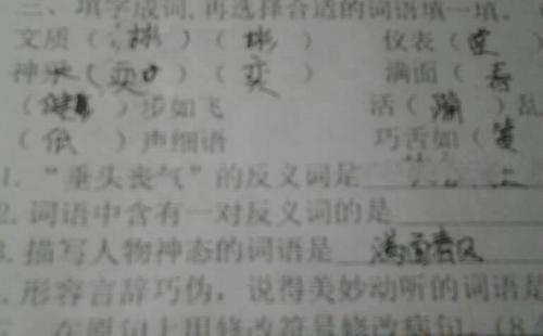 熟悉反义词是什么