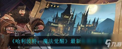哈利波特魔法觉醒怎么切换账号