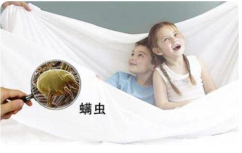 彻底去除床上螨虫的最好方法