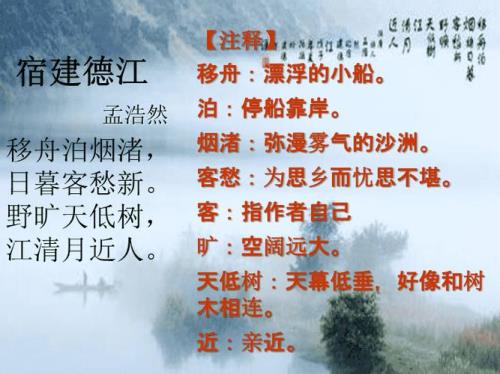 宿建德江宿是什么意思