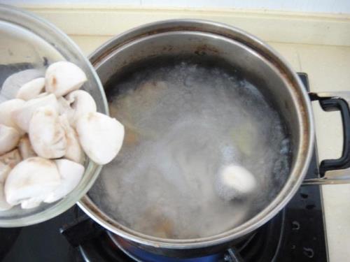 菌菇煮多久能熟