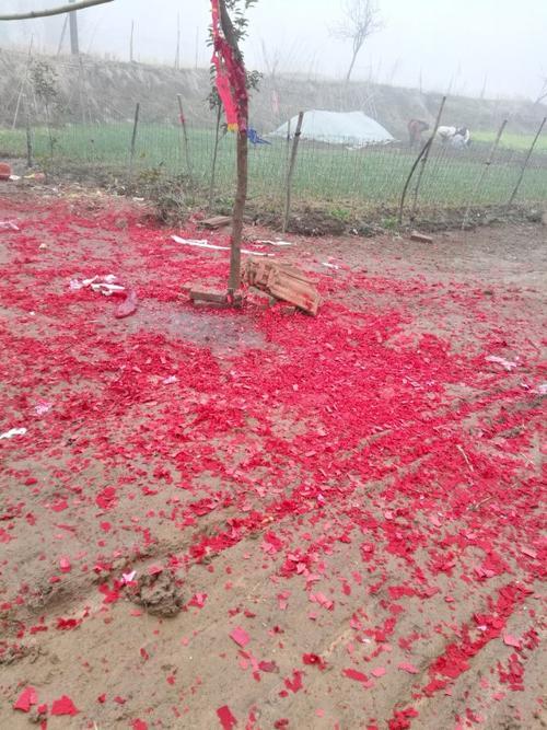满地红鞭炮尺寸