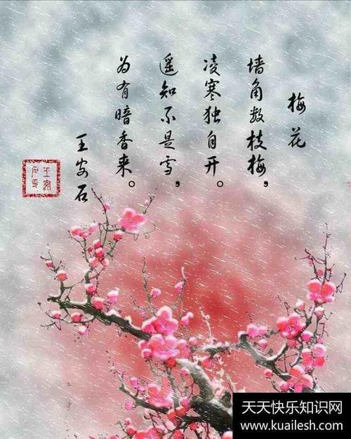 思考的诗句