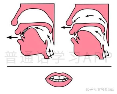 诉是不是前鼻音