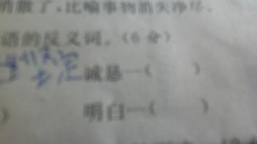 快乐的近义词有