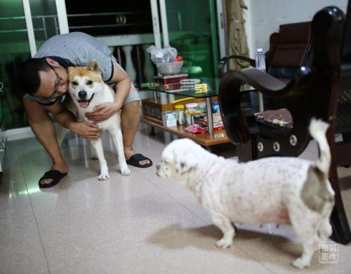 宠物入殓师需要考证吗