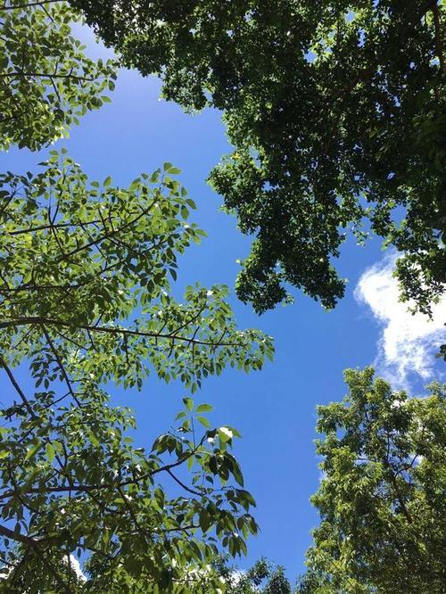 我喜欢你像云追着风一样下一句