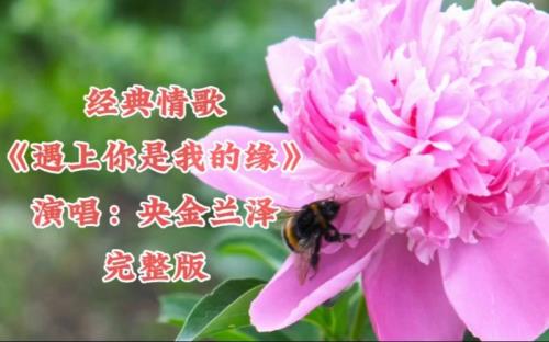 遇上你是我的缘原唱是谁