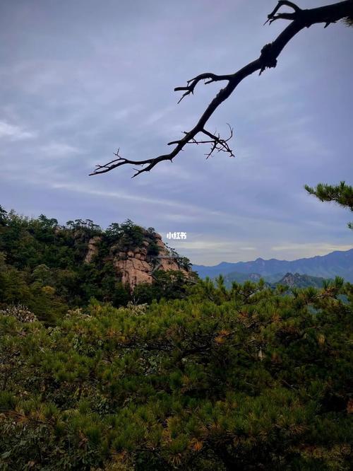 上山要努力下山要快乐什么意思