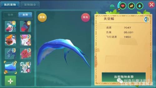 创造与魔法天空果实的全部位置