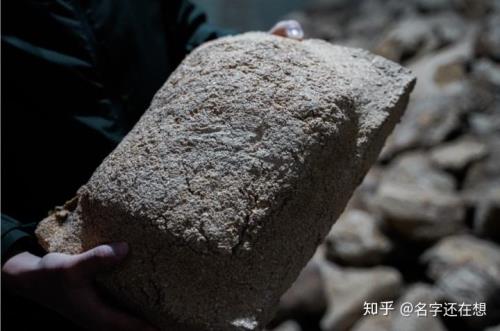 制曲过程中微生物来源不包括