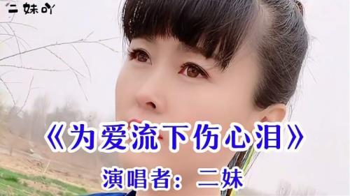 为爱流下伤心泪完整版女声原唱