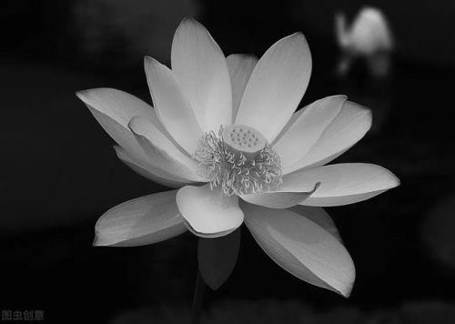 西去的意思