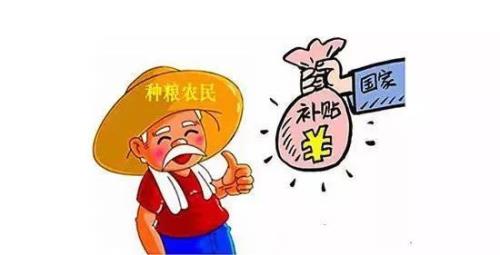 政府给农民每月每人补贴多少钱