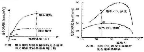 矿质元素对植物光合作用的影响