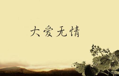 无情的爱结局