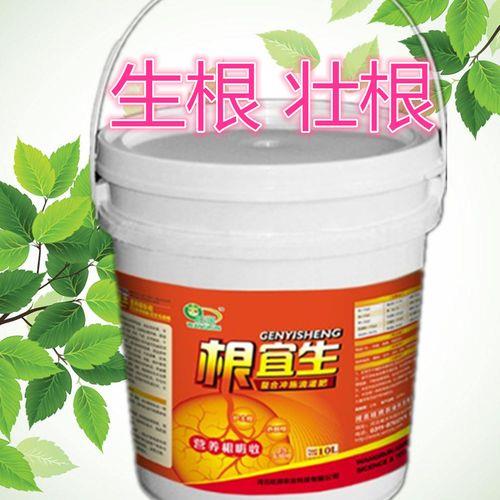 生根肥料哪种好